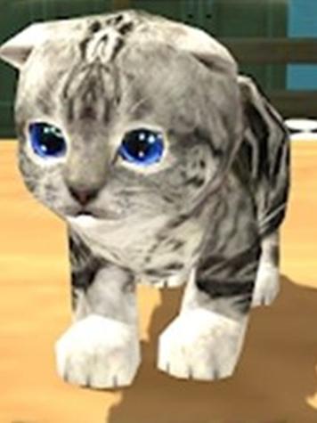 阿秋猫咪模拟器缩略图