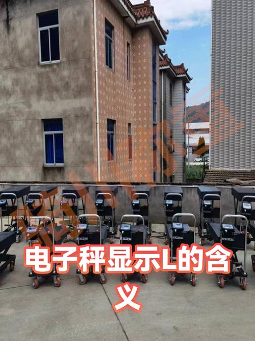 电子秤显示l是什么意思缩略图