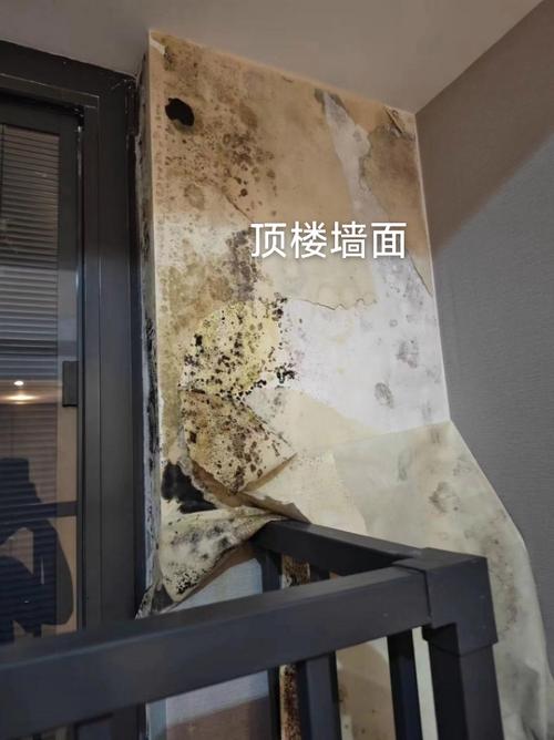 壁纸墙面发霉怎么处理图标