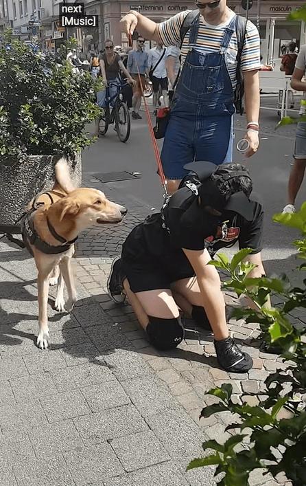 给别人当狗是什么意思缩略图