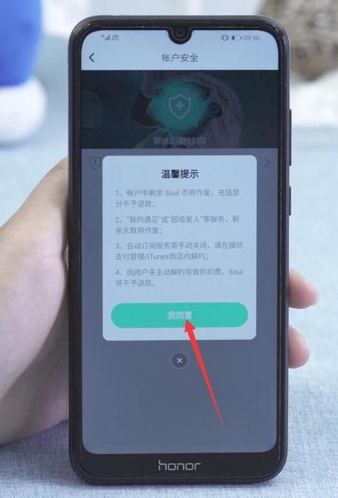 soul注销是什么样子的游戏截图