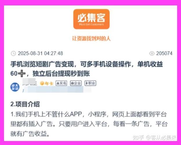 个人接广告的平台游戏截图