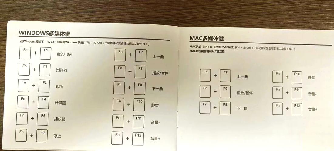电脑command是哪个键图片