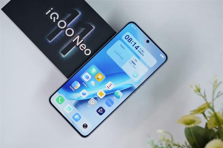 iqoo11屏幕分辨率多少游戏截图