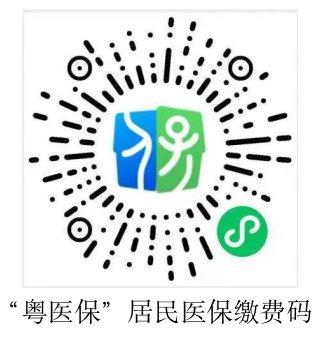 下载粤医保游戏截图