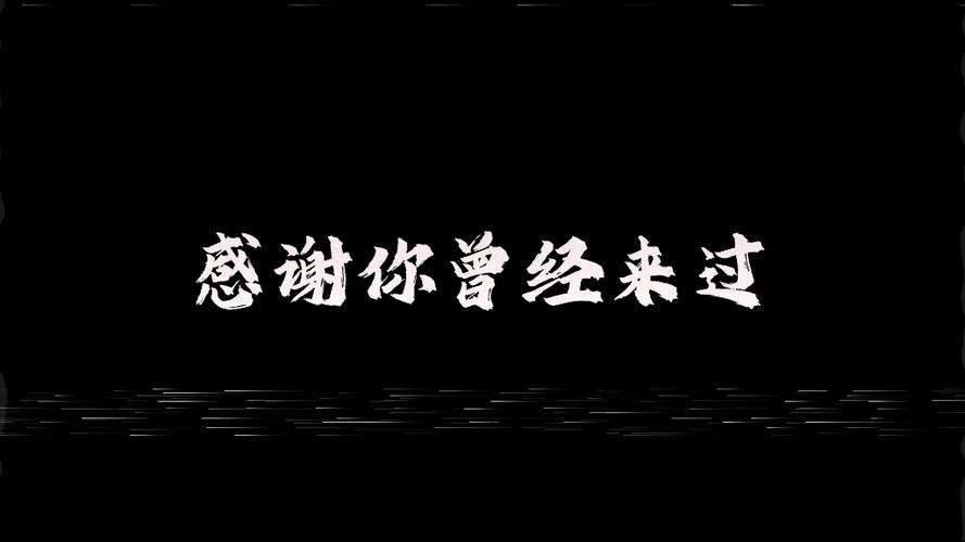 感谢你曾经来过,就算你是个过客游戏截图