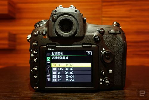 尼康d850拍鸟最佳设置缩略图
