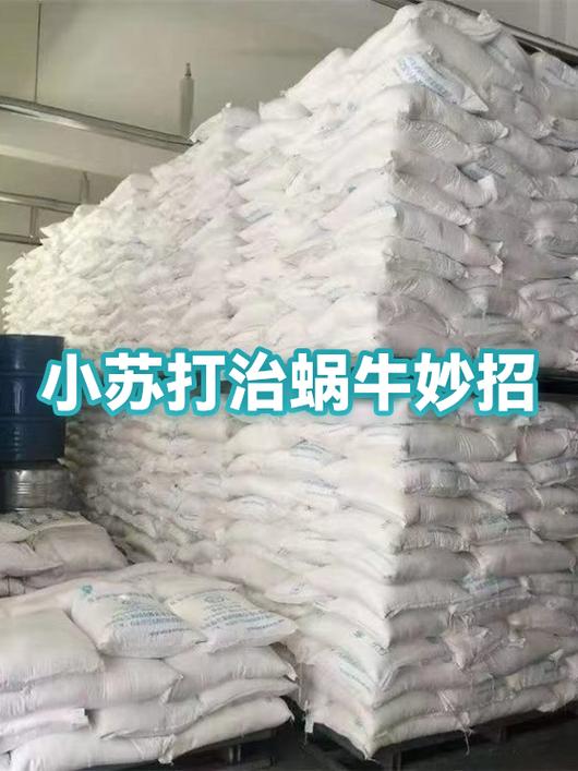 蜗牛防治小妙招缩略图