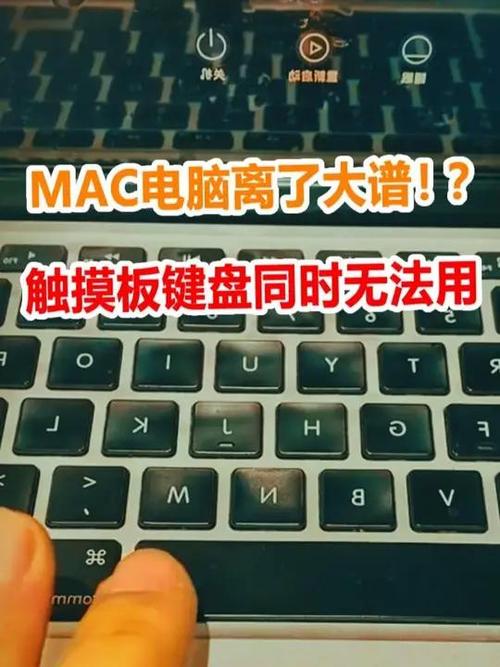 mac触摸板轻点没反应游戏截图