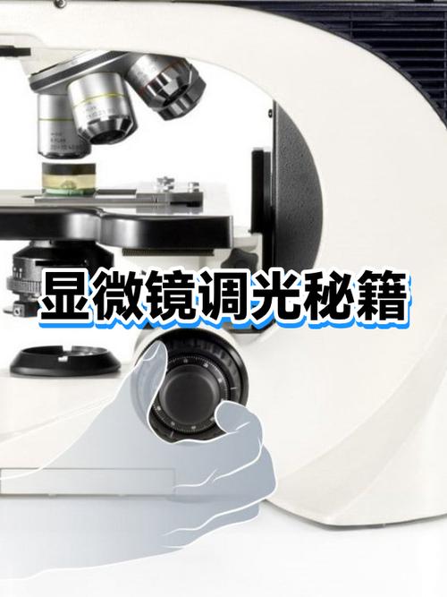 倍镜左右晃动怎么调缩略图