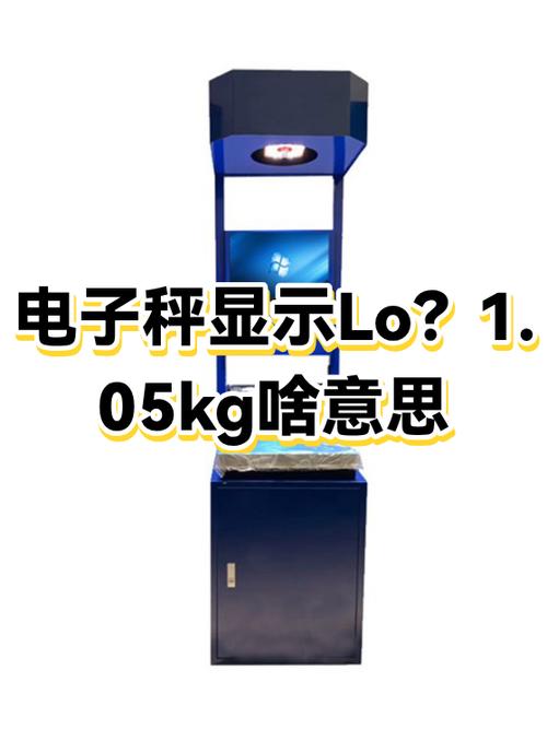 充电的电子秤显示lo是什么意思游戏截图