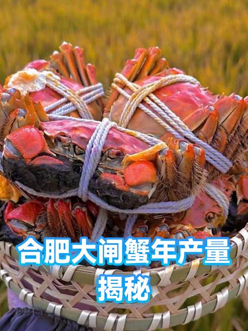 1亩螃蟹一年纯收入缩略图