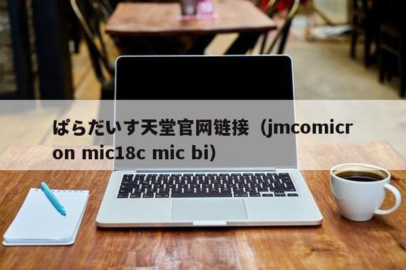 JMCOMICRON.MIC18C缩略图