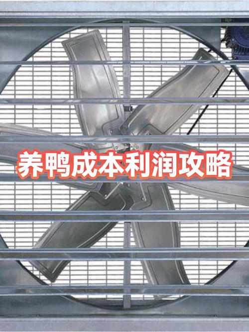 养鸭1000只利润和成本缩略图