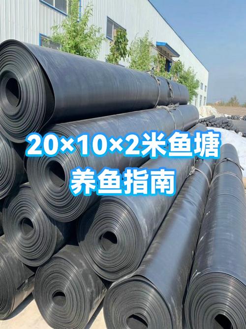 多多养鱼赚钱是真的吗游戏截图