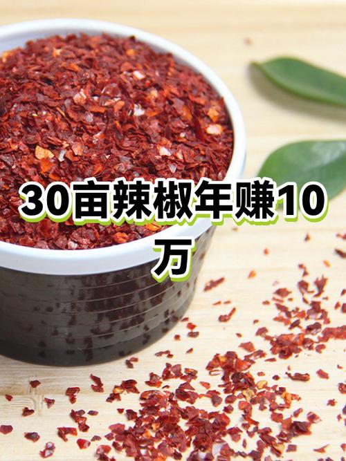 干辣椒生意利润有多大缩略图