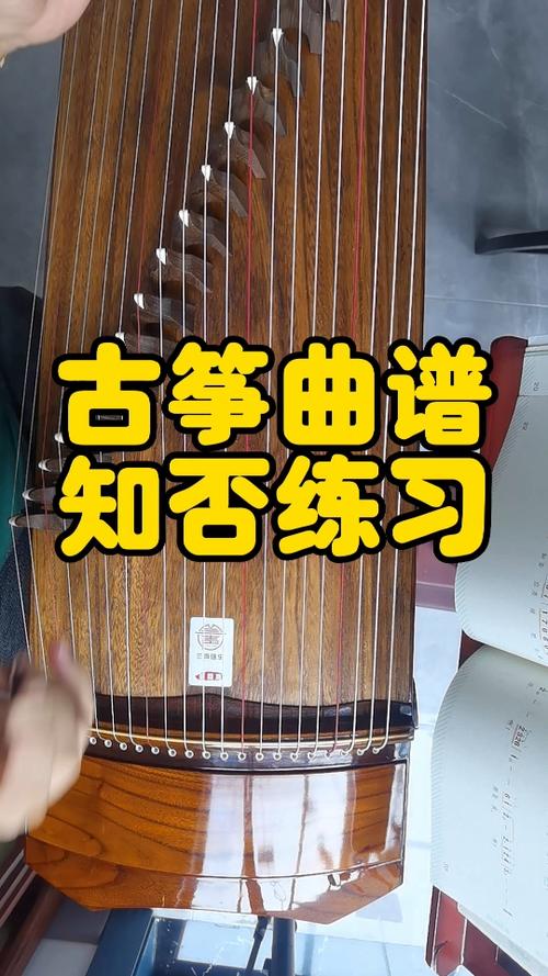 知否琵琶谱子D调缩略图