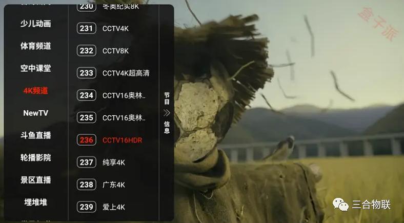 火星tv直播纯净版缩略图