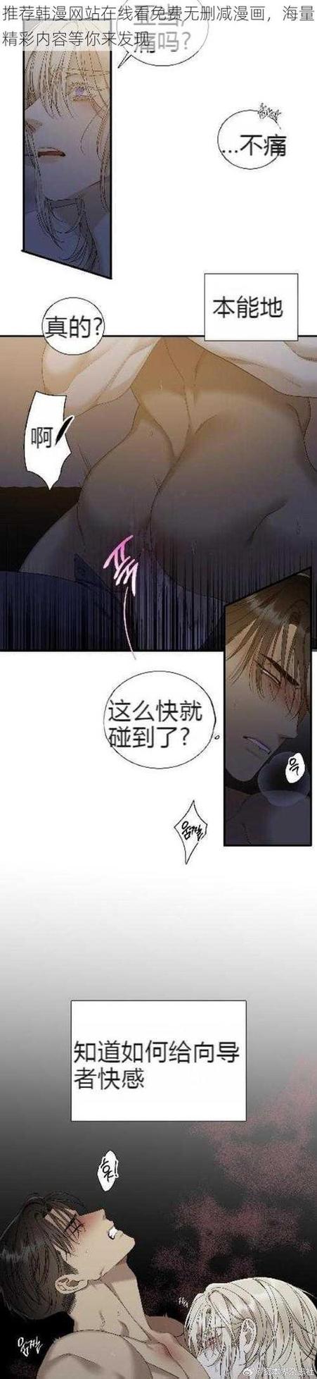 天堂漫画最新更新时间缩略图