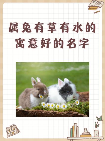 属兔的吉祥旺财网名缩略图