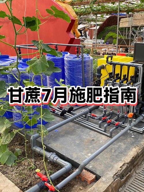 卖甘蔗一天赚多少钱缩略图