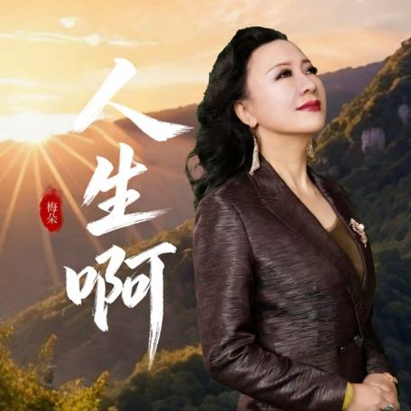 《梅朵》歌曲原唱游戏截图