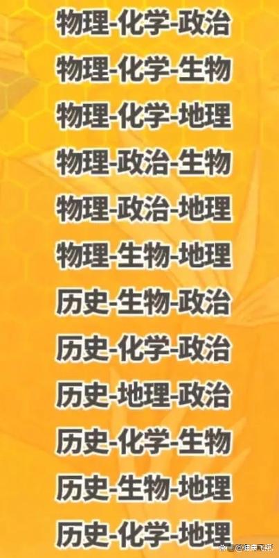 2023广东高考历史游戏截图