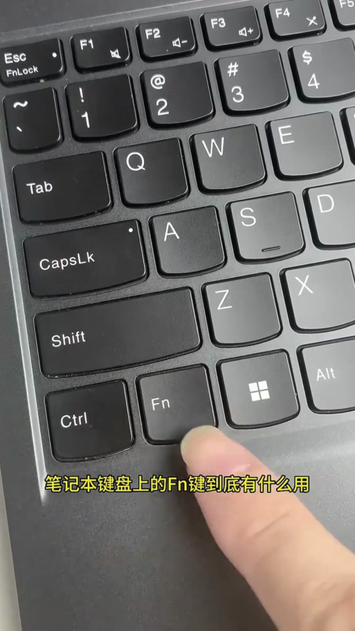 rapoo键盘使用说明游戏截图