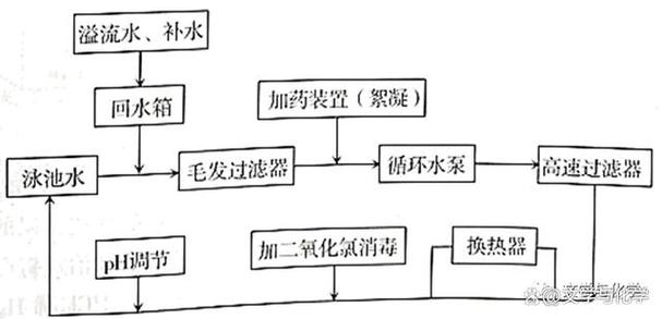 初中科学实验探究题答题技巧游戏截图