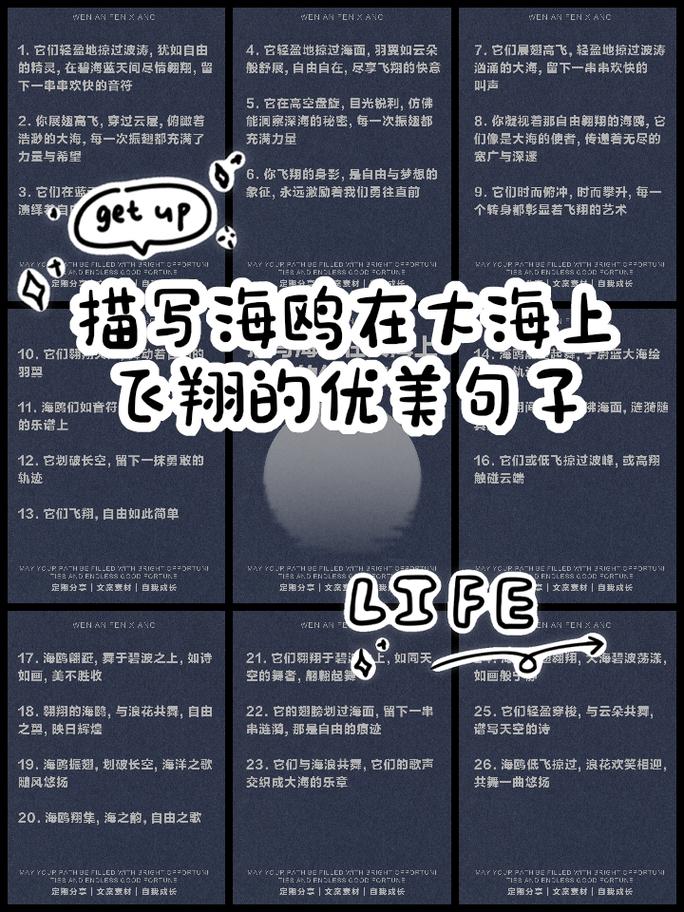 彩云伴海鸥文案短句缩略图