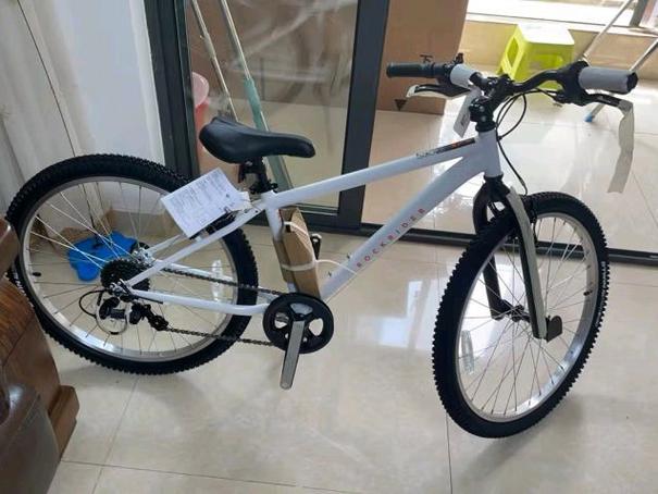 山地车100种图片缩略图