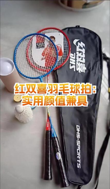 羽毛球拍品牌排行前十游戏截图