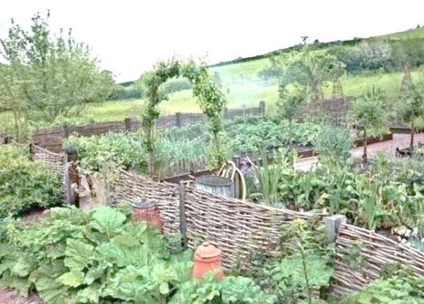 乡村图片风景田园缩略图