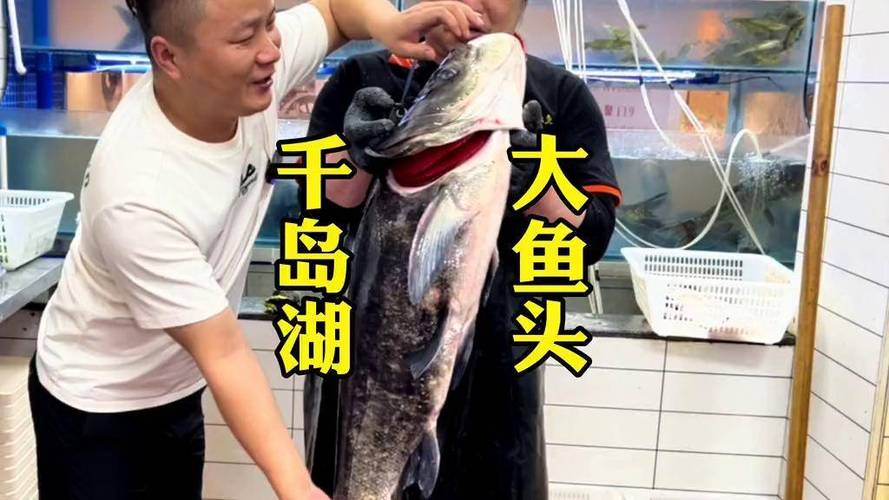 《大鱼头》吃播视频缩略图