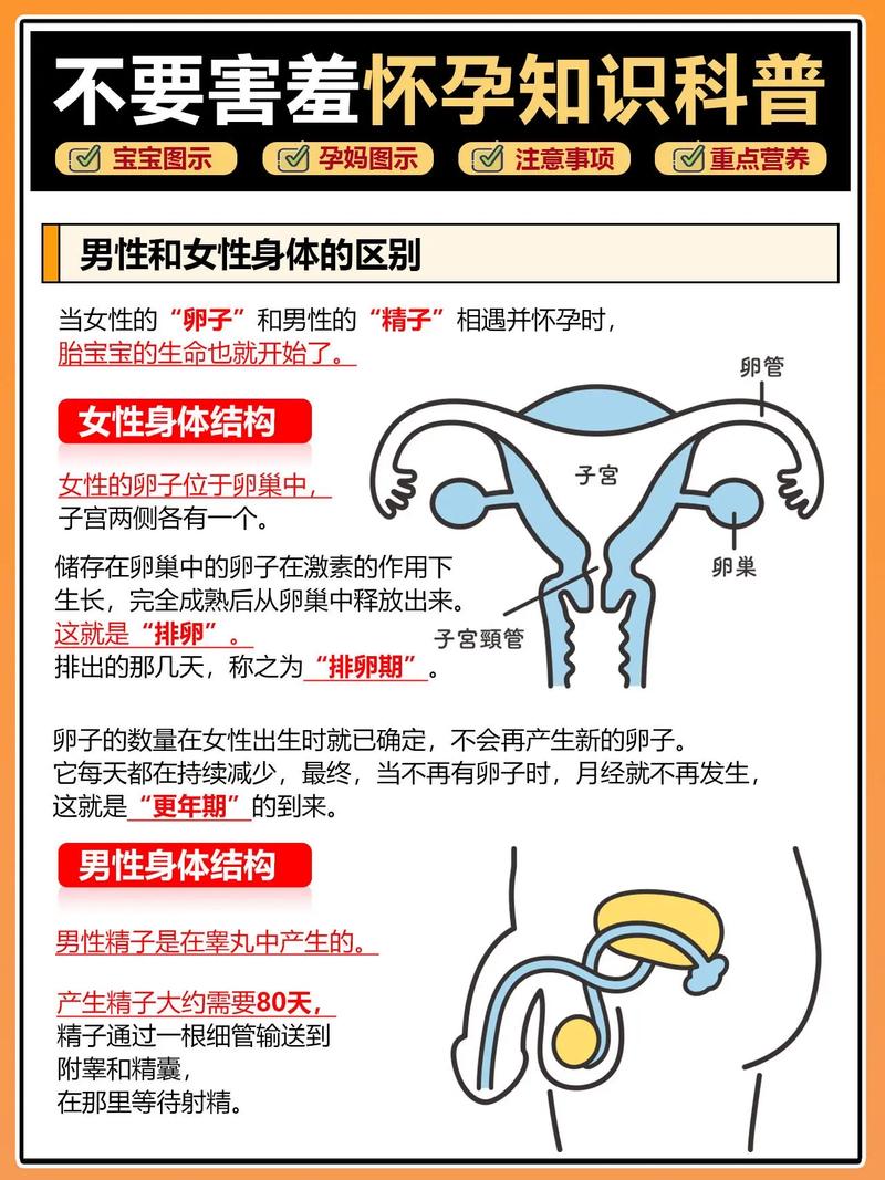 sinister2怀孕怎么解锁缩略图