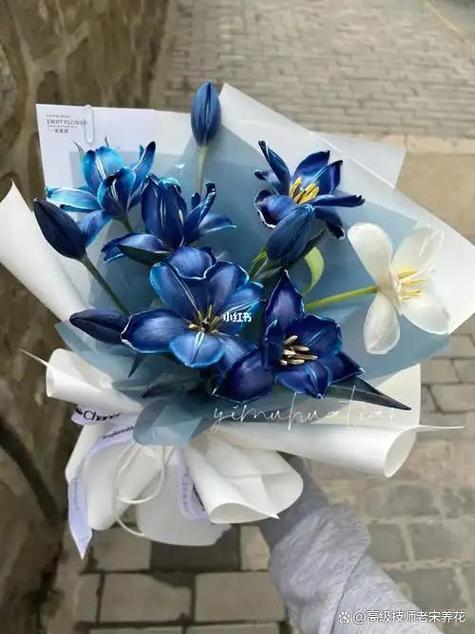 blued官方下载安装缩略图