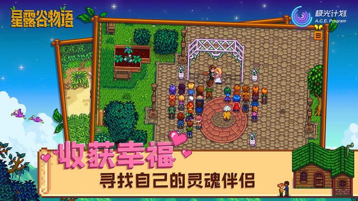 星露谷物语无限金币中文版下载缩略图