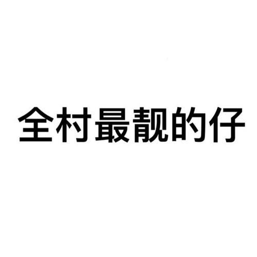 全村最靓的仔图片图标