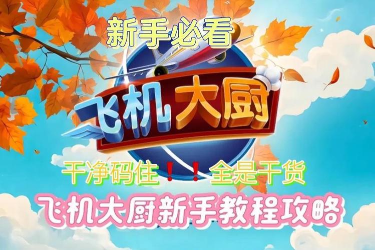 飞机大厨官网充值入口缩略图