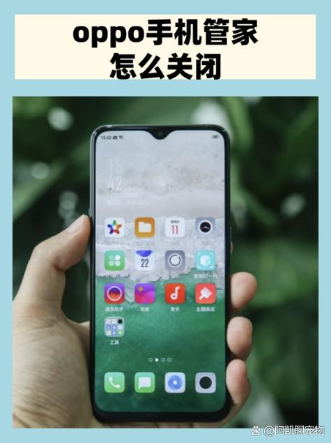 oppo自带清理工具在哪里图标