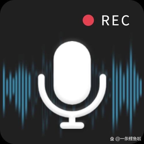 录音软件哪个好缩略图