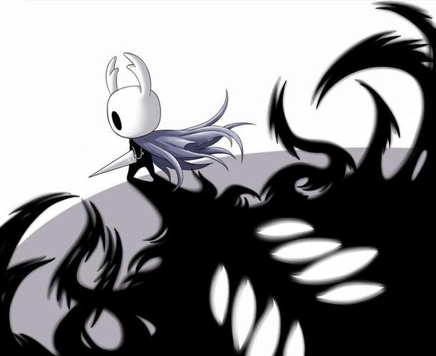 ns空洞骑士缩略图