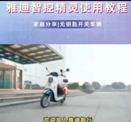 雅迪智行如何绑定2人游戏截图
