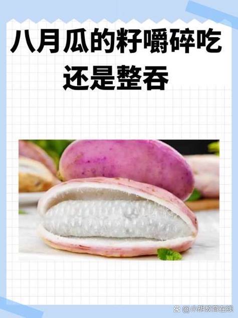 所有瓜的名称图标