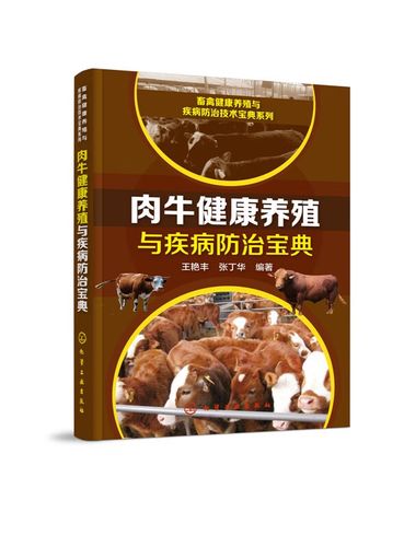 肉牛养殖利润和前景缩略图