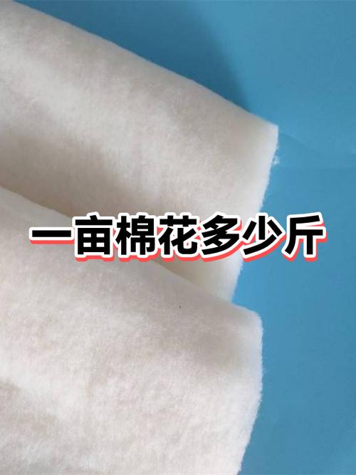 一亩棉花利润多少缩略图
