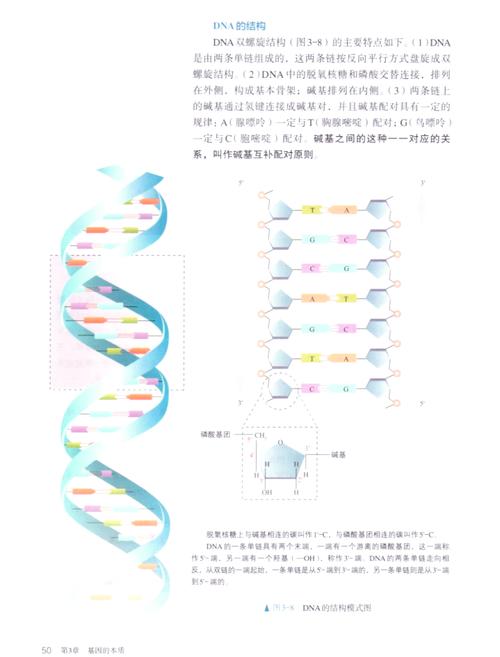 DNA里的历史应用宝游戏截图