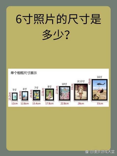 六寸照片尺寸参照物缩略图