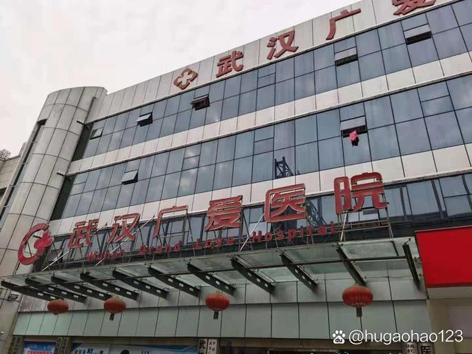 武汉广爱医院是正规医院吗游戏截图