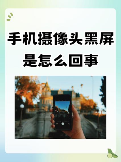 vivo手机挡住摄像头就黑屏游戏截图